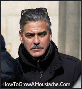 Top 10 Celebrity Moustaches