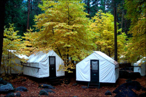 camping yosemite, lodges, cabins