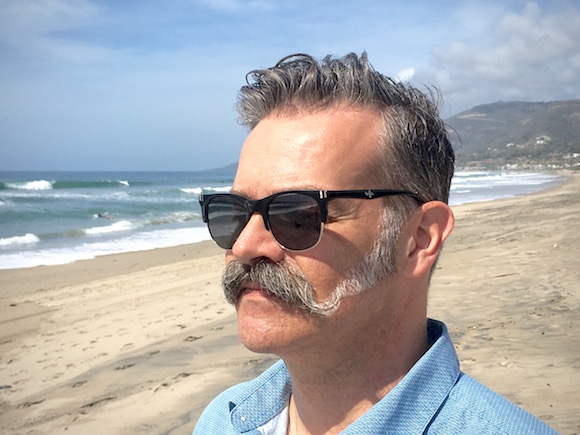 Fello Pondering on the Beach