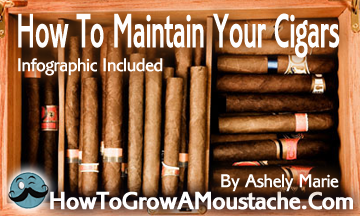 How To Maintain Your Cigars