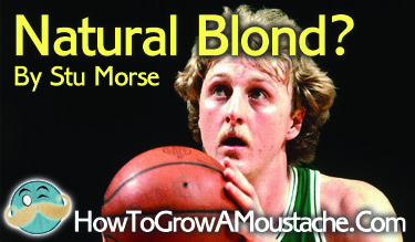 Natural Blond? (moustache)