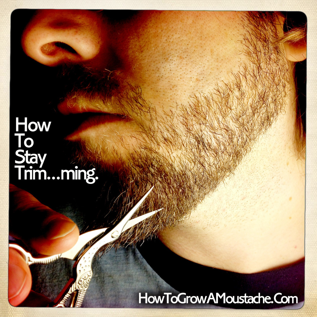 Grooming Mistakes You Don’t Know You’re Making or A Guy’s Guide To Grooming