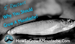 5 Reasons Why You Should Grow A Moustache!