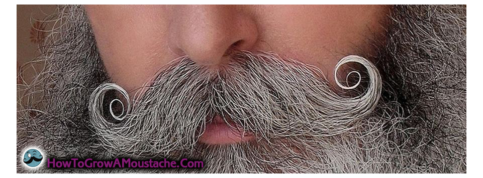 <em>How to grow a Handlebar Moustache</em>