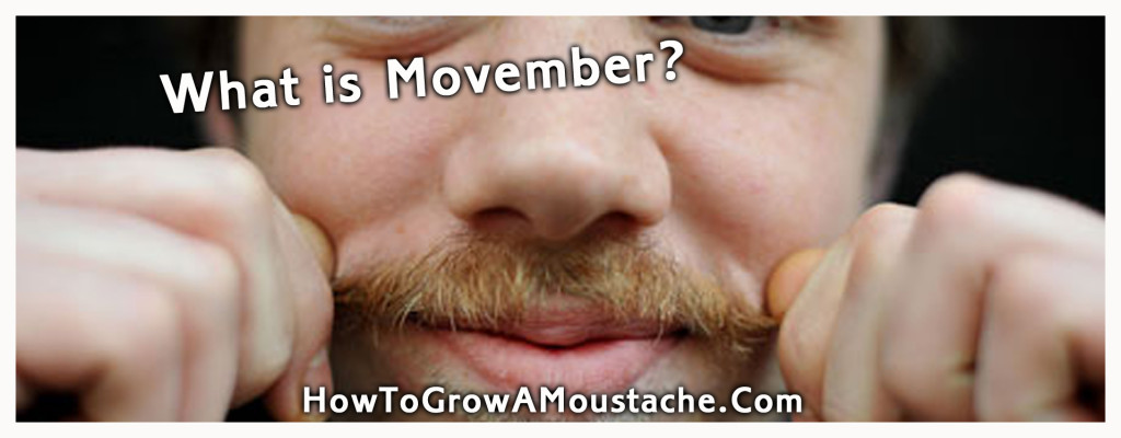What is Movember?