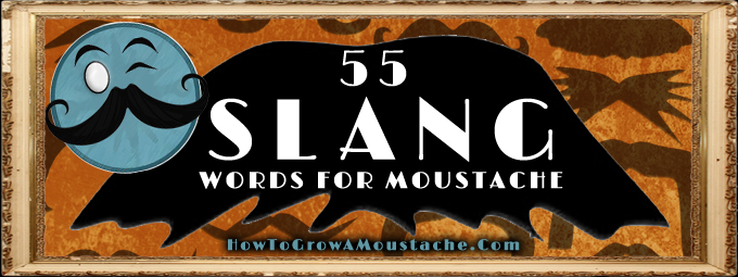 55 Slang Words For Moustache