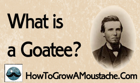 What is a Goatee?