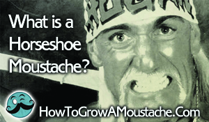 What is a Horseshoe Moustache?