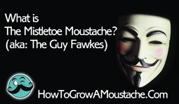 What is The Mistletoe Moustache? (aka: The Guy Fawkes)