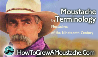 Moustache Terminology