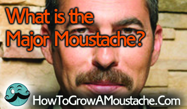 What is the Major Moustache?
