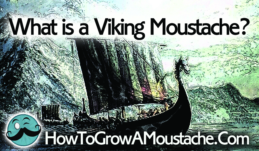 What is a Viking Moustache?