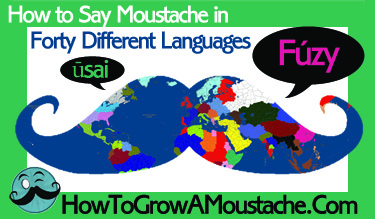 How to Say Moustache in Forty Different Languages