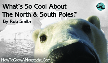 What’s So Cool About The North & South Poles?