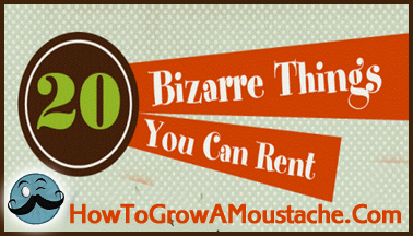 Bizarre Things You Can Rent (Infographic)